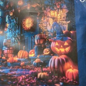#894 stamped cross stitch kit
